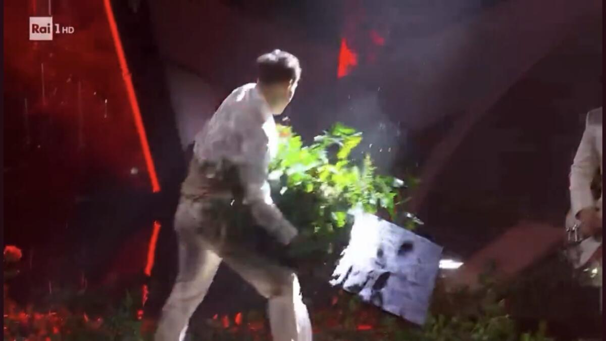 Perché Blanco ha distrutto i fiori sul palco di Sanremo? (VIDEO) - Blanco distrugge i fiori sul palco di Sanremo, screenshot da Twitter fonte sconosciuta