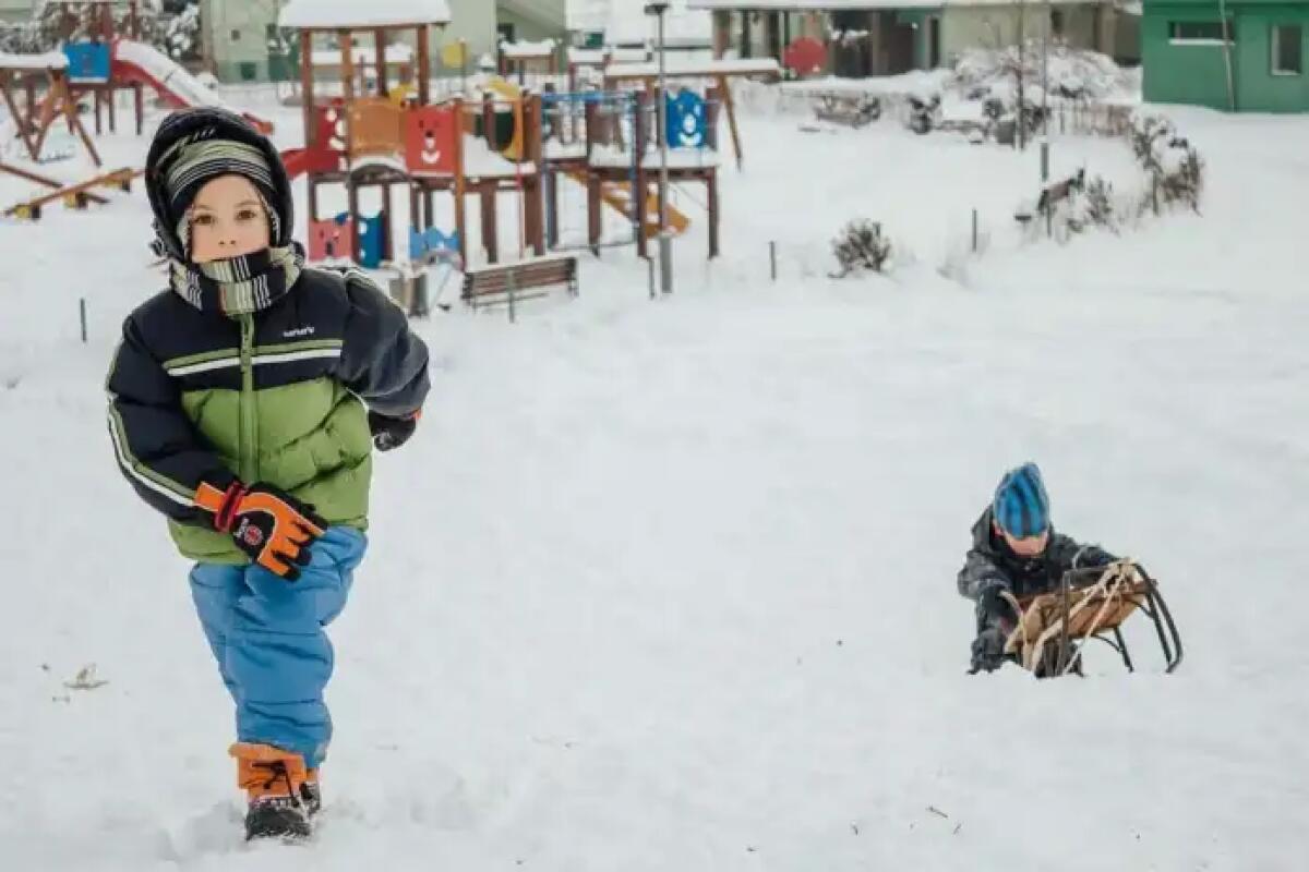 Vestiti invernali per bambini: come scegliere quelli più adatti - Vestiti invernali per bambini: come scegliere quelli più adatti - https://pixnio.com/it/media/ragazzi-a-slitta-inverno-parco-giochi-per-bambini-volutta