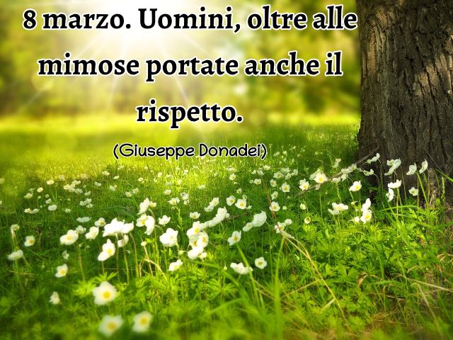 8 marzo. Uomini, oltre alle mimose portate anche il rispetto. (Giuseppe Donadei)