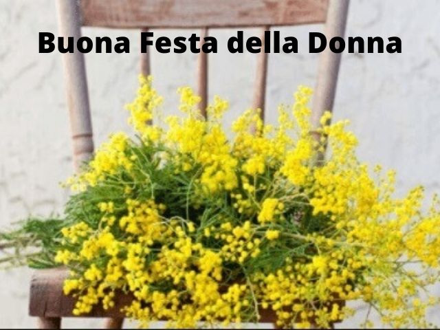 immagini 8 marzo festa delle donne 14