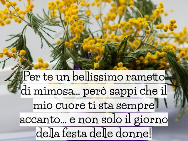 Per te un bellissimo rametto di mimosa… però sappi che il mio cuore ti sta sempre accanto… e non solo il giorno della festa delle donne!