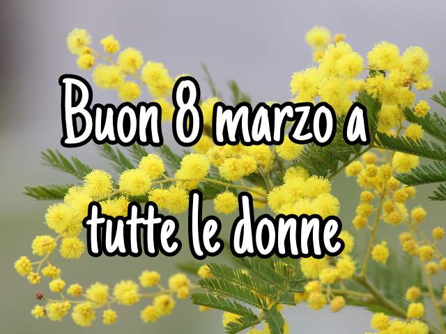 Buon 8 marzo a tutte le donne.