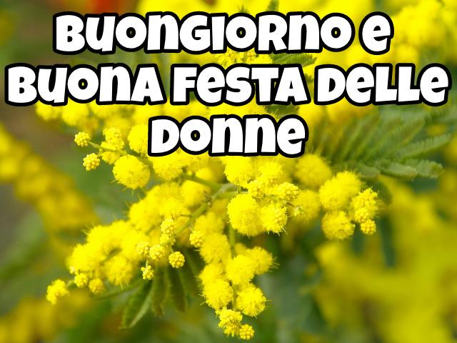 Buongiorno e buona festa delle donne