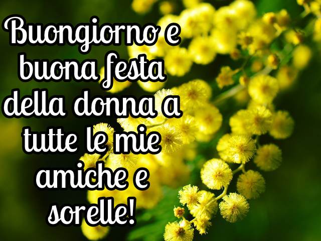 Buongiorno e buona festa delle donne a tutte le mie amiche e sorelle!