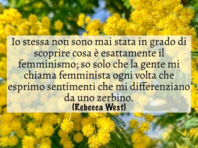 Io stessa non sono mai stata in grado di scoprire cosa è esattamente il femminismo; so solo che la gente mi chiama femminista ogni volta che esprimo sentimenti che mi differenziano da uno zerbino. (Rebecca West)