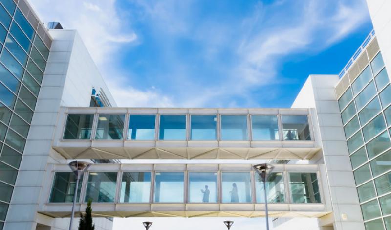 L’Università di Foggia celebra l’8 marzo con la mostra “Women in Science”