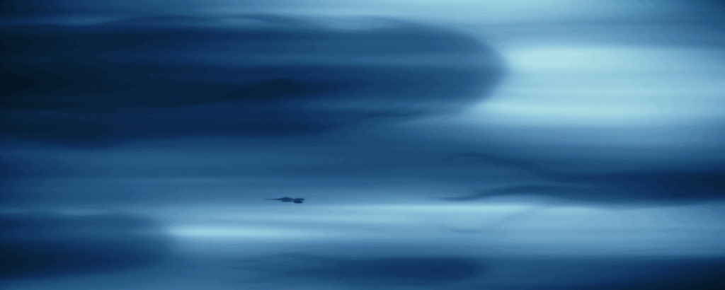 La bellissima scena con i purrgil nello sfondo