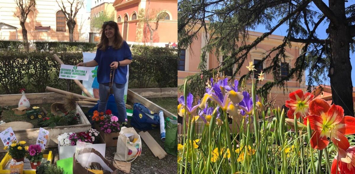 Foggia capitale di fiori e piante con “Rose, orti e giardini” 3 edizione - 