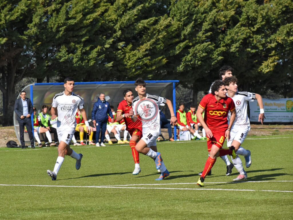 Immagine in evidenza: uno scatto di Foggia-Catanzaro 2-1 (Primavera 3 22/23) - crediti foto: Calcio Foggia 1920 - Giovanile e Femminile/Luigia Spinelli