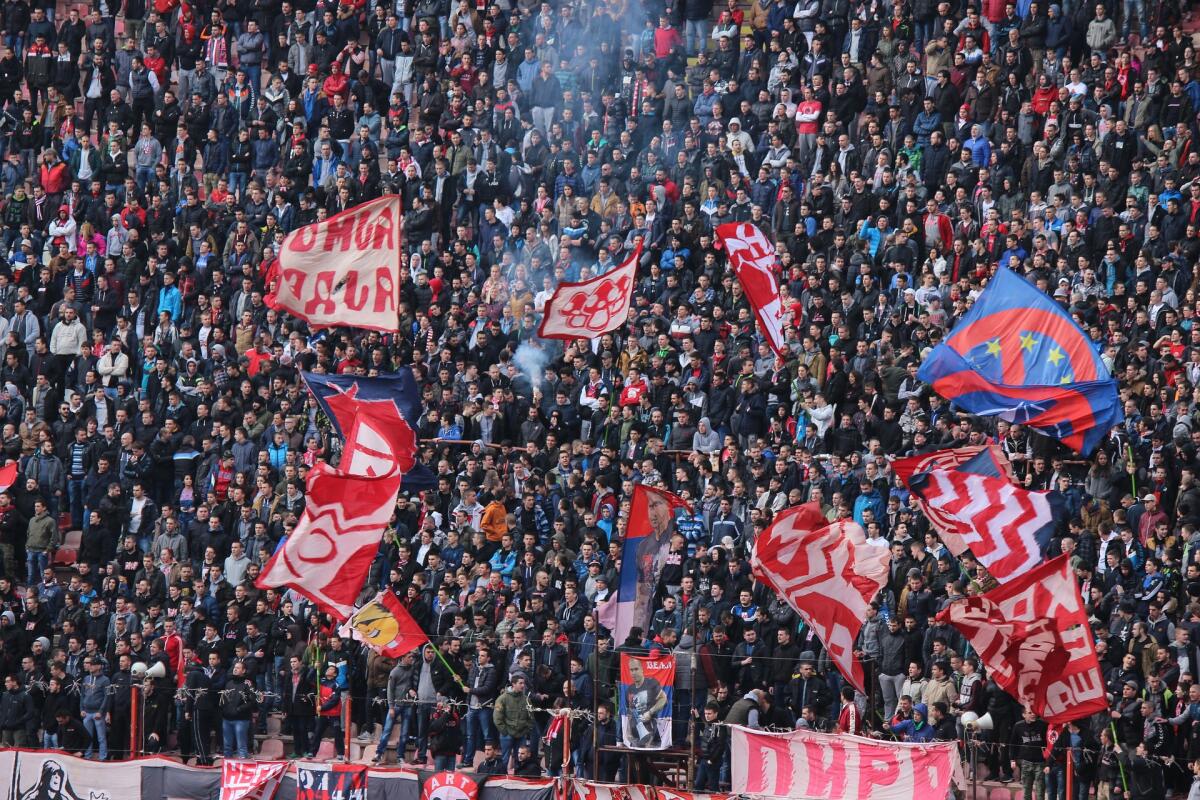 Due nuove squadre nel Girone C? Ecco quali - Tifosi, crediti: Foto di Djordje Nikolic da Pixabay