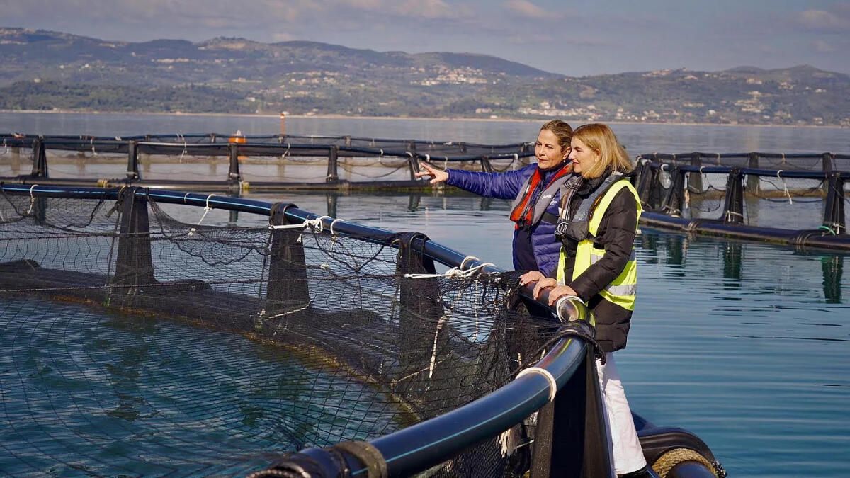 Donne e sistema mare: a Sud è femminile il 23,4% delle imprese blu - Foto: euronews.green
