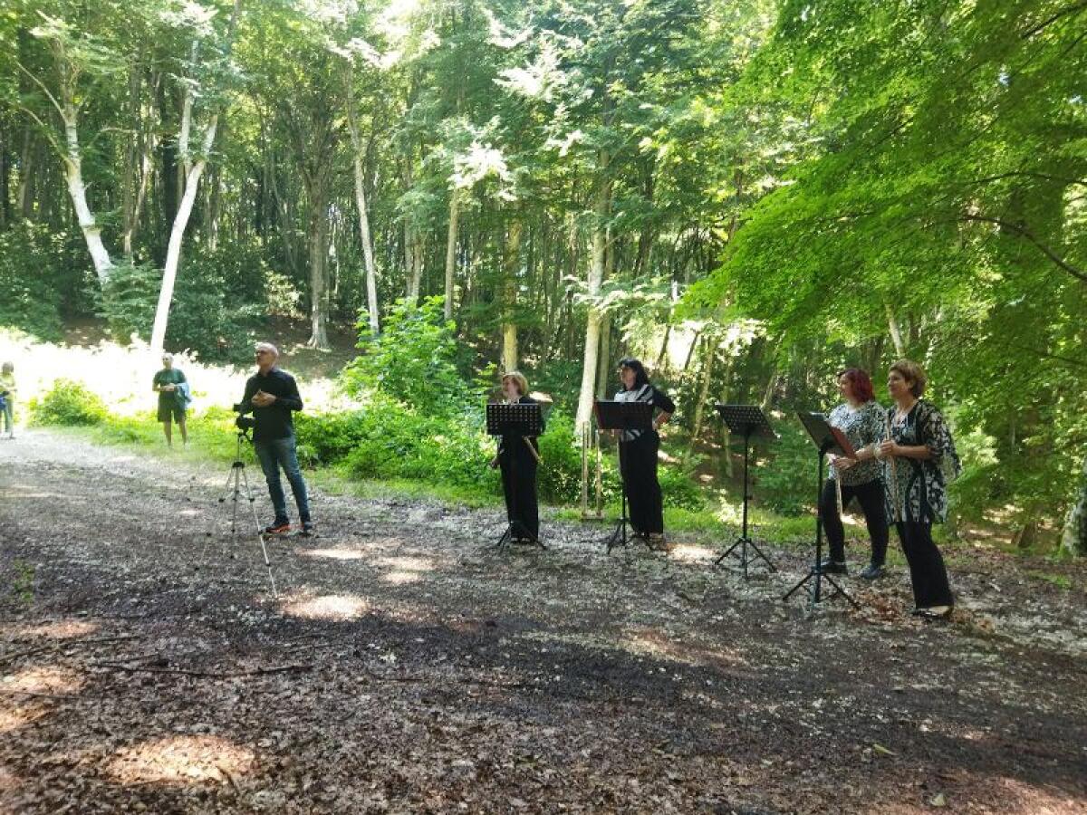 Suoni d’Umbra, musica nel Parco del Gargano fra piante e alberi secolari - 