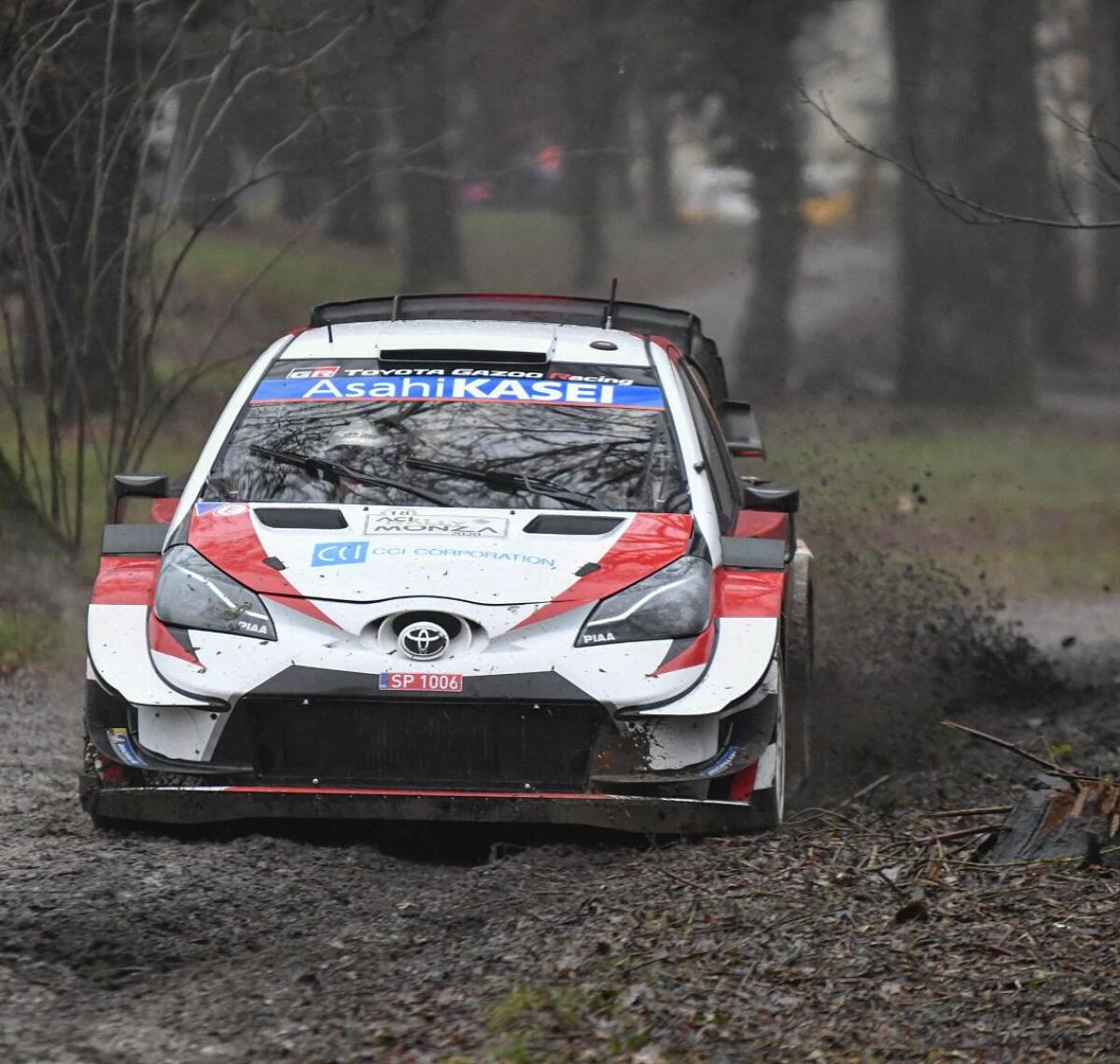Rally di Monza:  10 prove speciali nel Parco - 