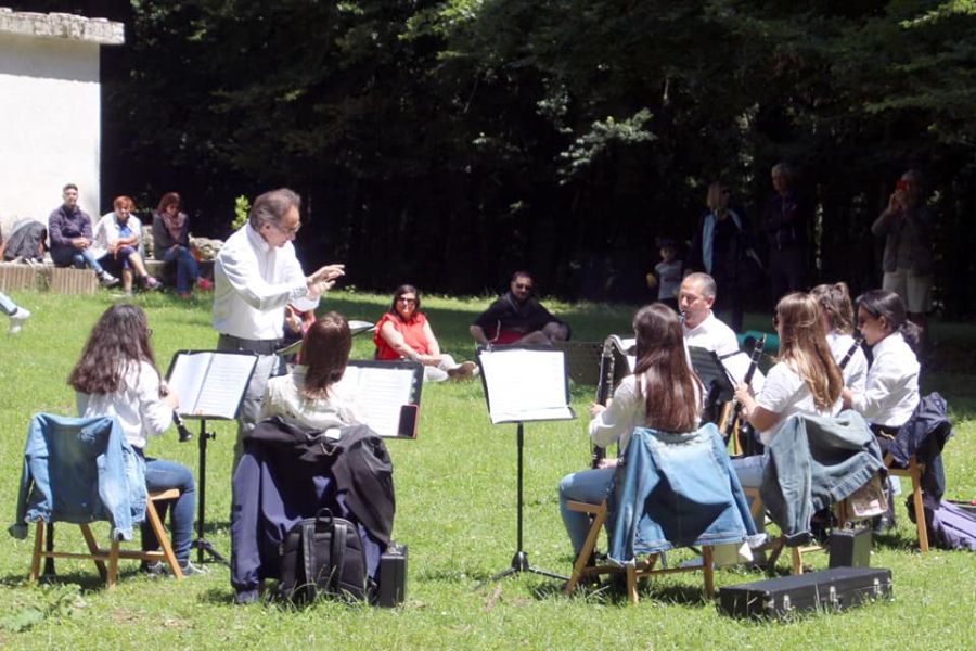 Suoni d’Umbra, musica nel Parco del Gargano fra piante e alberi secolari