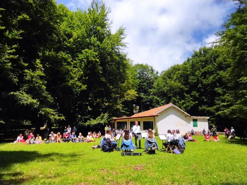 Suoni d’Umbra, musica nel Parco del Gargano fra piante e alberi secolari