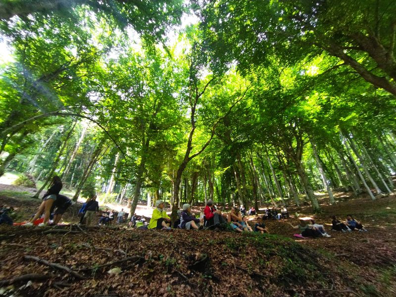 Suoni d’Umbra, musica nel Parco del Gargano fra piante e alberi secolari