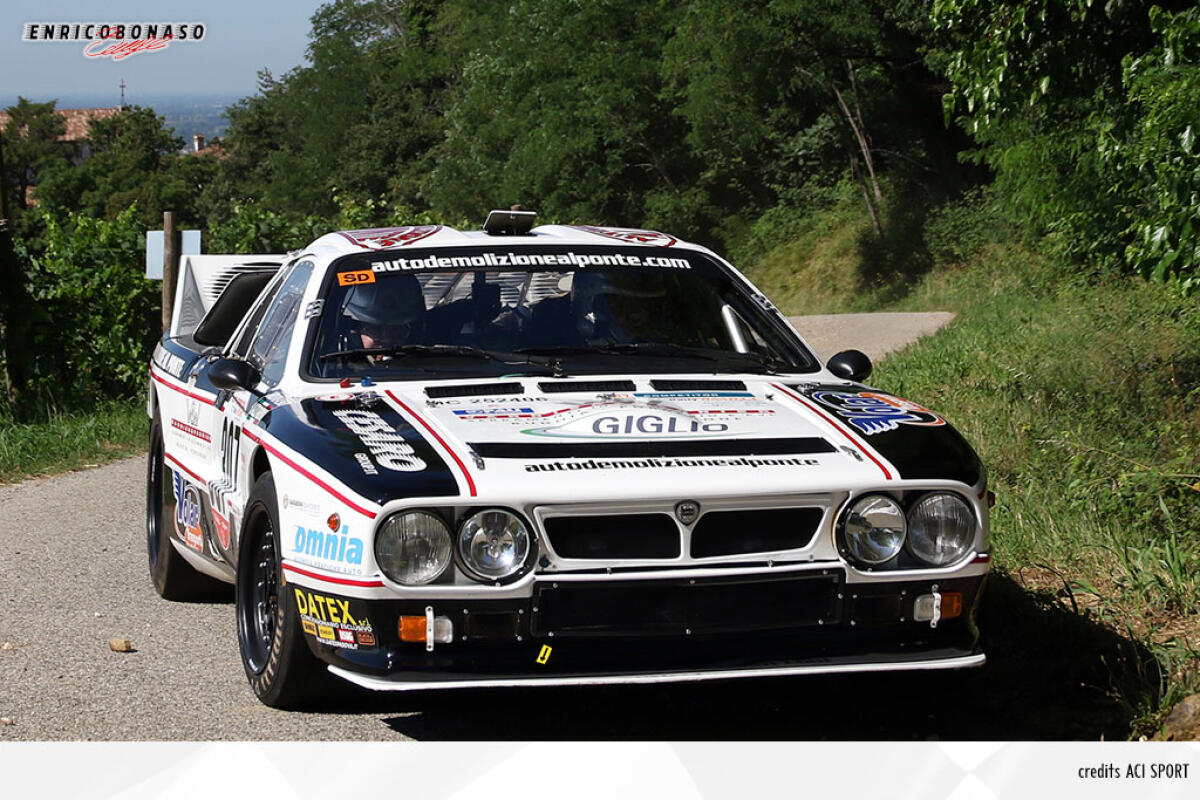 Bonaso mastica amaro all'Alpi Orientali - 