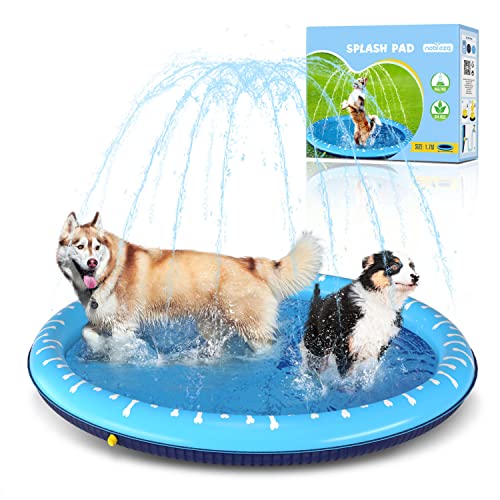 Nobleza, piscina per cani di tuttte le taglie