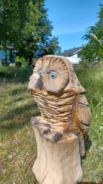 Roseto Valfortore, la magia di uno zoo in legno ricavato dagli alberi
