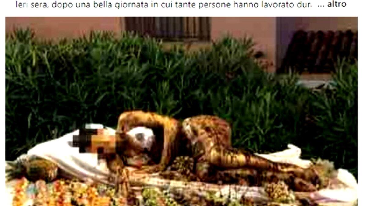 Nel buffet in hotel una ragazza coperta di cioccolato, bufera social: "Vergogna" - fonte: huffpost