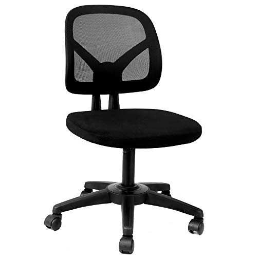 Sedie da ufficio ergonomiche senza braccioli della Hbada