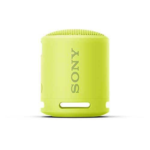 Altoparlante Bluetooth della Sony, modello SRS-XB13