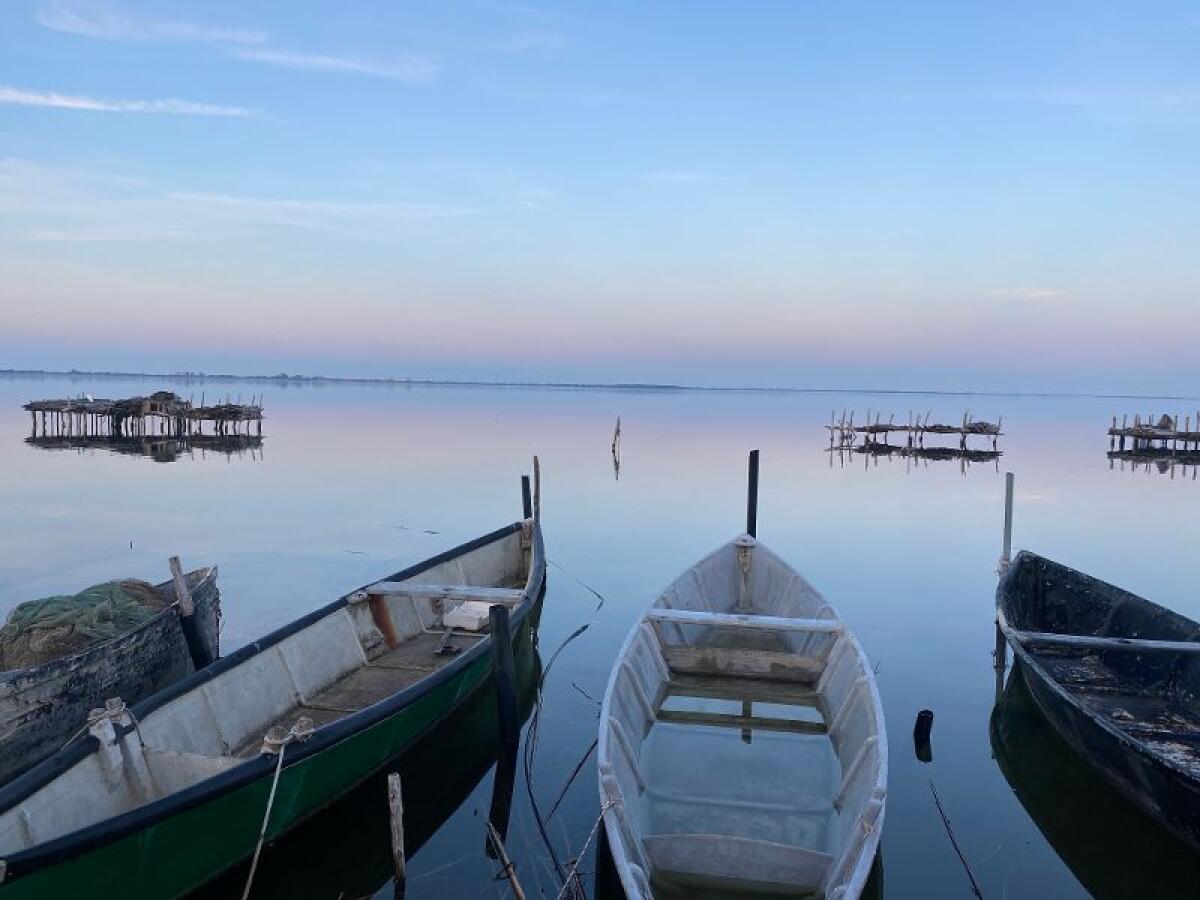 Tempo di migrazioni nella Terra dei Laghi, al via alla seconda edizione - 
