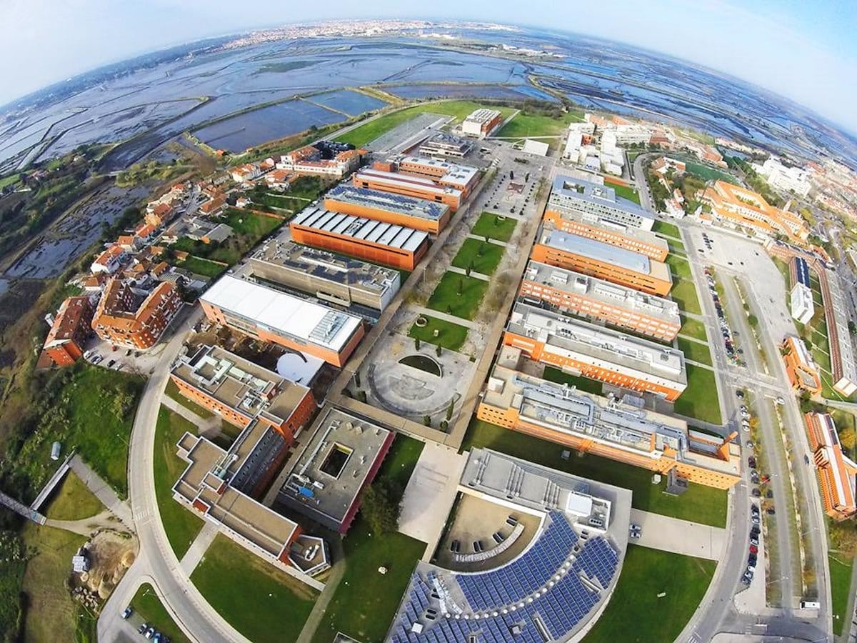 Univeristà di Foggia, prima summer school all'estero