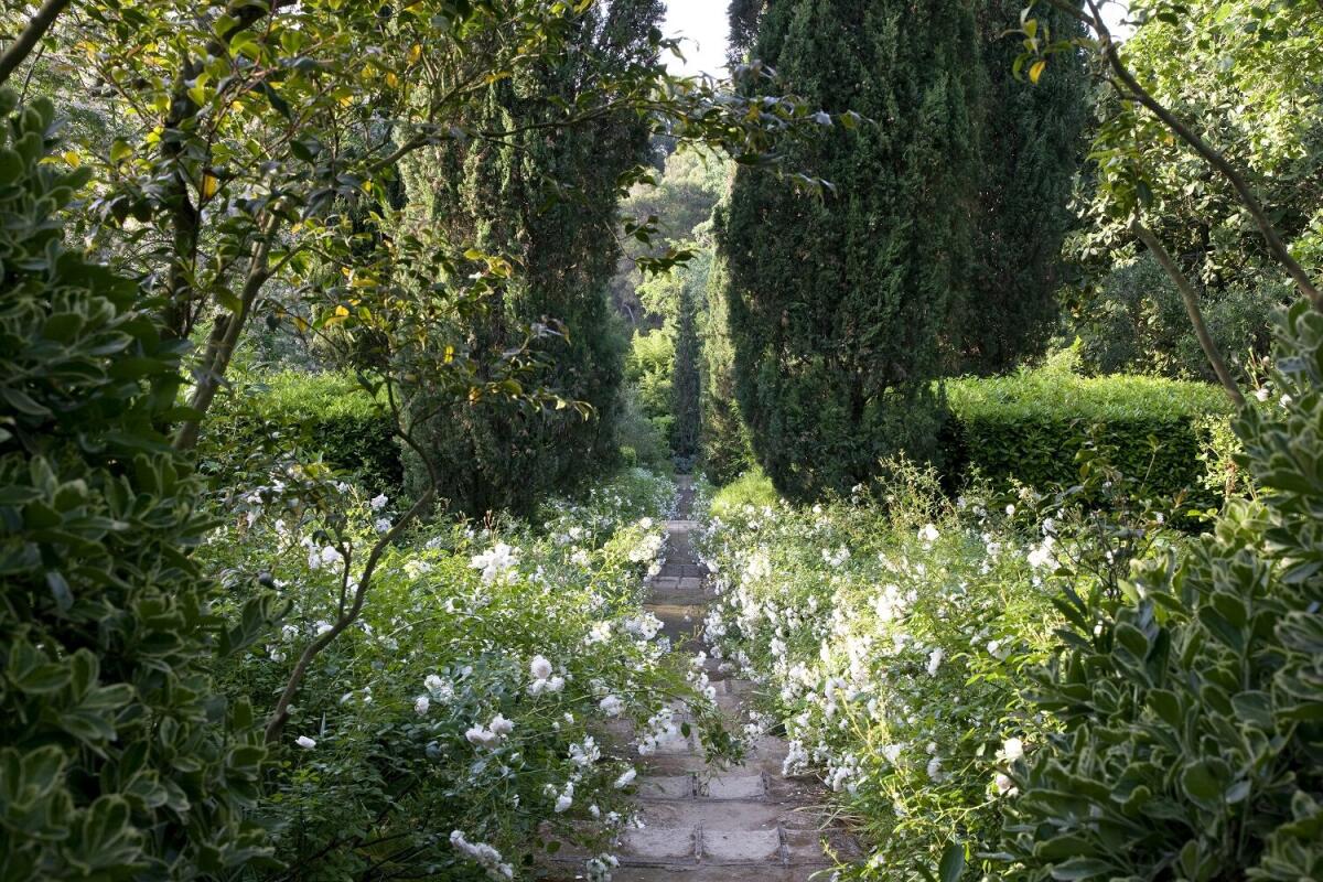 Autunno alla Landriana, viaggio per gli appassionati del verde - 