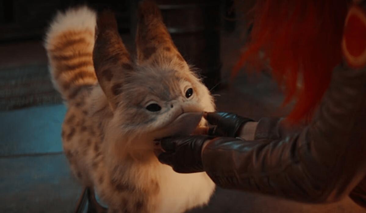 Ahsoka: rivelato il nome del loth-gatto di Sabine! - Il loth-gatto di Sabine