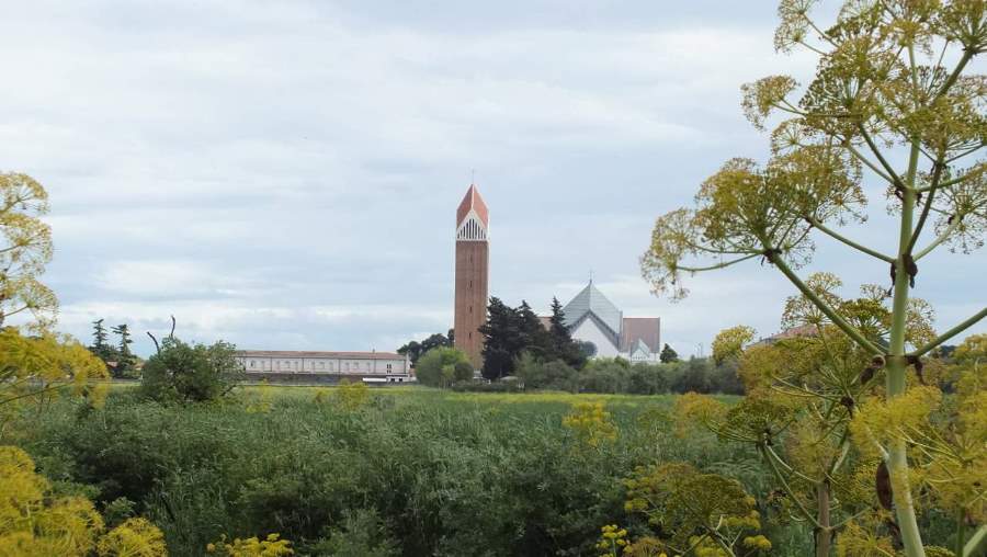 La meraviglia del foliage autunnale in Capitanata