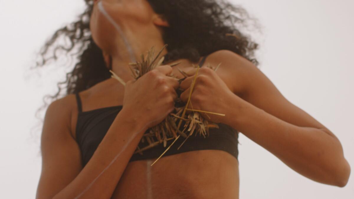 Da lunedì 30 ottobre è online il videoclip degli Yaràkä "Canto all'alie" - Yaraka - Canto all'alie