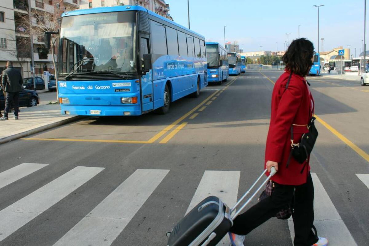 Roberta: “In viaggio con i mezzi pubblici fino a Foggia. E’ stata un’odissea” - "ASSURDO" Roberta: “In viaggio con i mezzi pubblici fino a Manfredonia. E’ stata un’odissea”