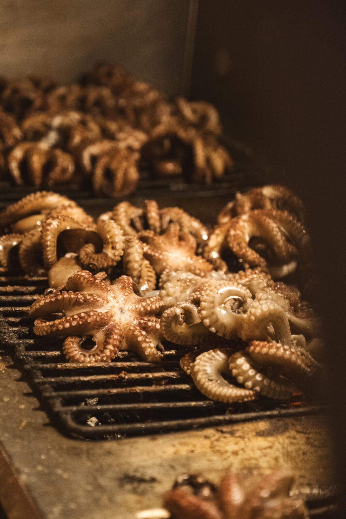 "Festa del Mare - 49a Sagra del Polpo": un successo a suon di musica, enogastronomia e tradizione - "Festa del Mare - 49a Sagra del Polpo": un successo a suon di musica, enogastronomia e tradizione