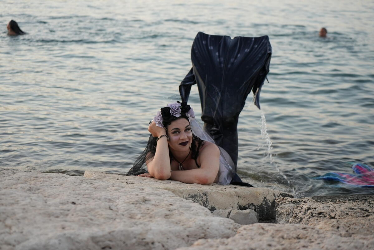 MolFest: oltre 70.000 presenze a Molfetta. "Entusiasmo alle stelle per il Festival POP" - MolFest: oltre 70.000 presenze a Molfetta. "Entusiasmo alle stelle per il Festival POP"