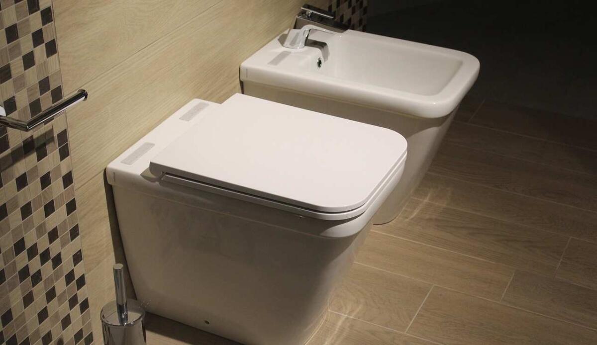 Non userai più la carta igienica quando arriveranno i wc intelligenti cinesi: risparmierai denaro e farai bene all'ambiente - Arrivano i wc intelligenti che promettono di far sparire la carta igienica (Depositphotos foto) - www.findbest.it