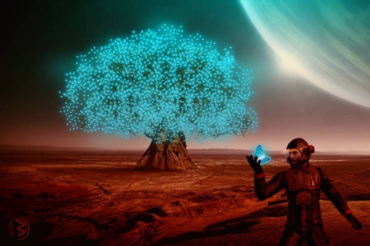 Illustrazione di un albero su Marte (Pixabay FOTO) - www.qrios.it