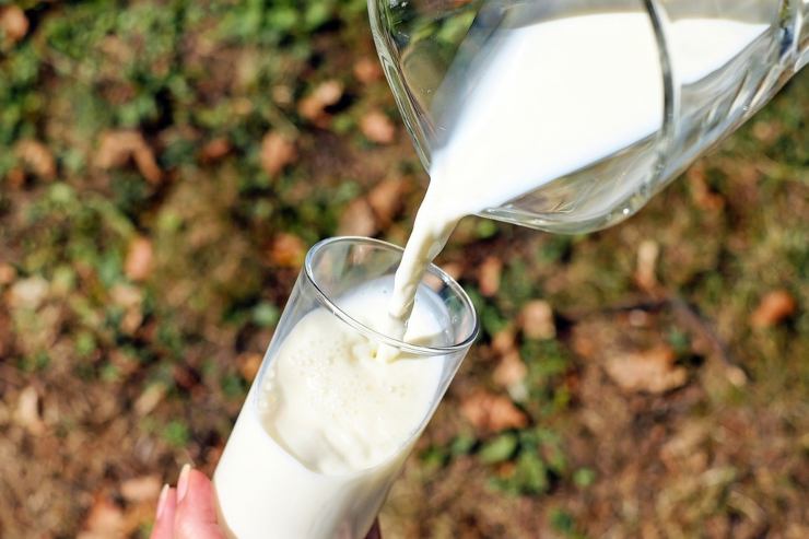 Latte di mucca: perché lo beviamo?