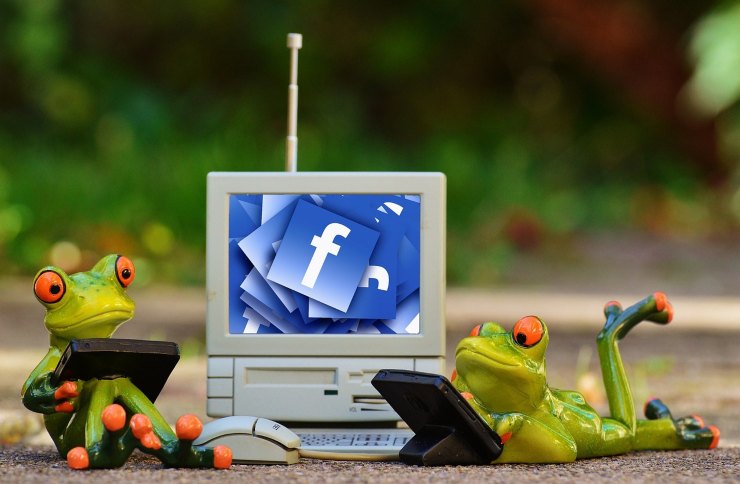 Condividi queste frasi con i tuoi amici su Facebook (Pixabay FOTO) - www.notiziesecche.it