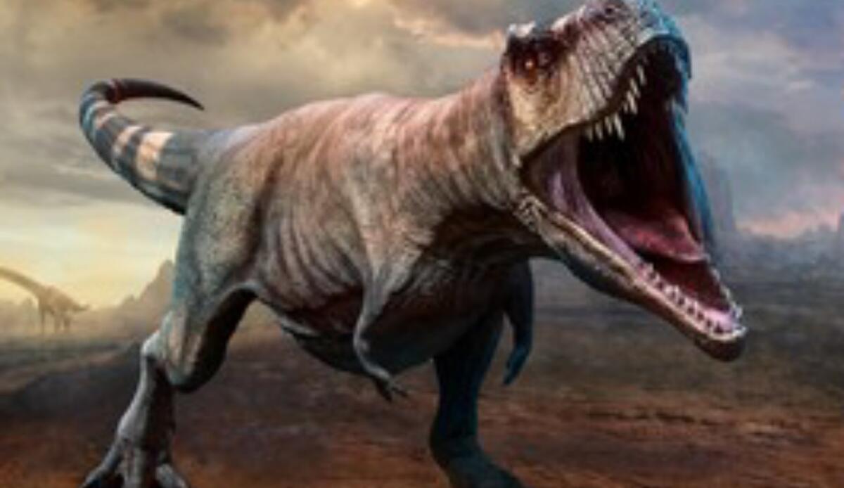 Il ruggito di un T-Rex suonava così? I sorprendenti studi sulla voce dei dinosauri - Il verso del T-Rex era davvero un ruggito Una tecnologia cerca di scoprirlo (Shutterstock Foto) - www.qrios.it