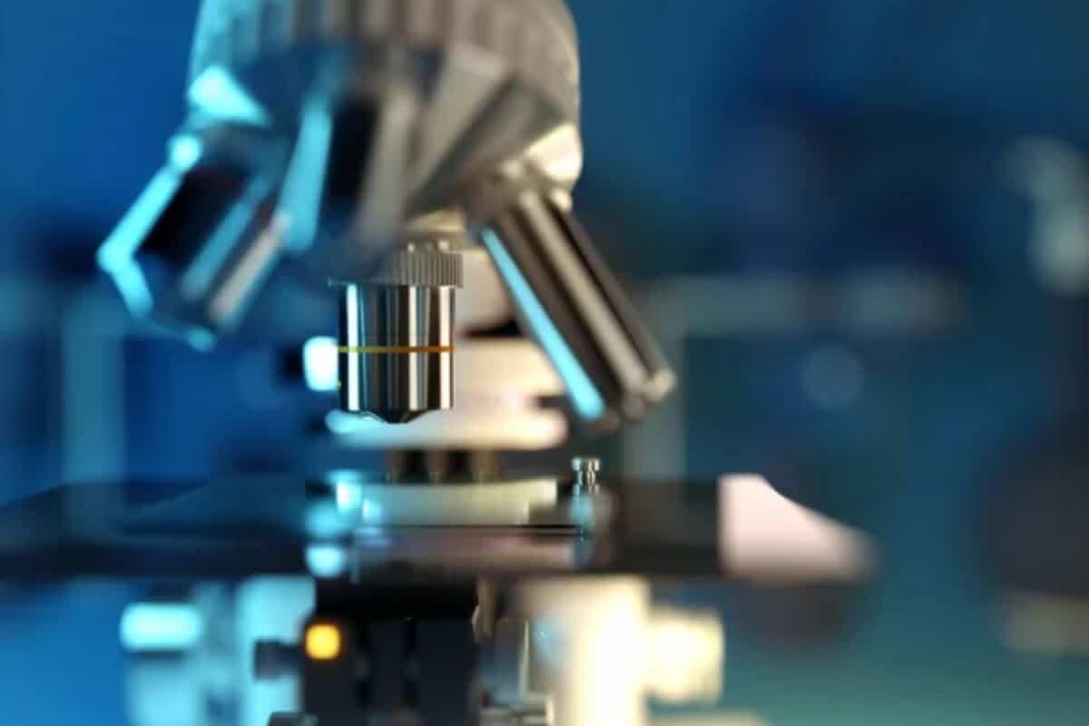 Microscopio 3D fai-da-te: costa meno di 60 dollari e si assembla in poche ore - Questo microscopio 3D costa meno di 60 euro - findbest.it (DepositPhoto)
