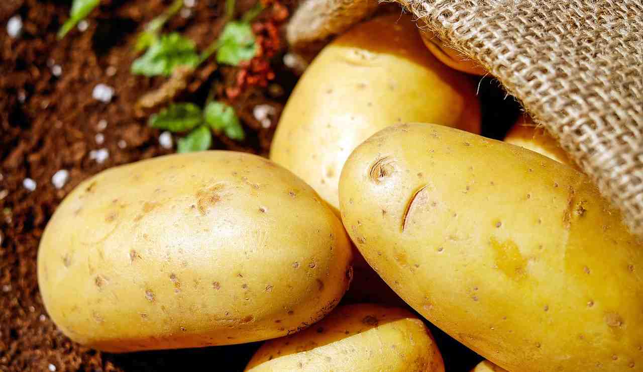 Patate (Pixabay foto) - www.notiziesecche.it