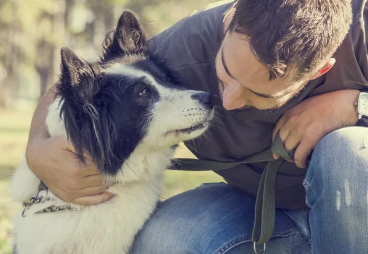 Cani e padroni, molti si somigliano tantissimo. Ma è davvero così?