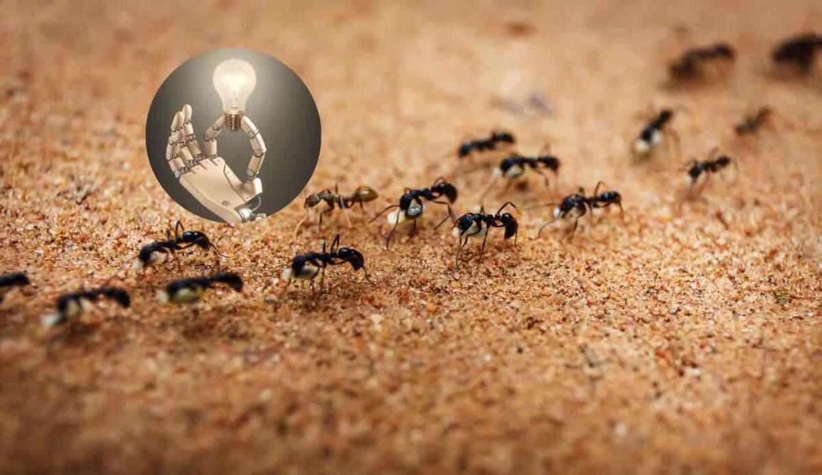 Microrobot ispirati alla natura: la tecnologia imita le formiche per compiti impossibili - I micro robot che imitano il lavoro degli insetti (Canva) - findbest.it