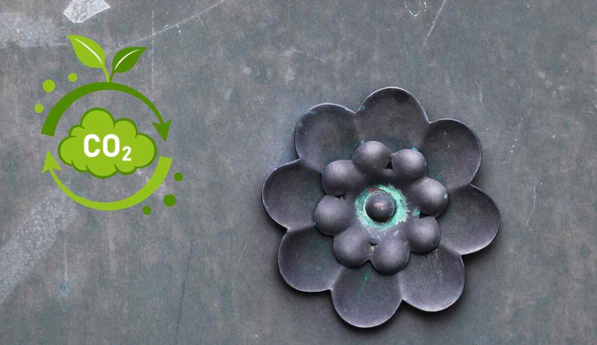 Piccoli fiori di rame su foglie artificiali trasformano la co₂ in carburante pulito - Fiori artificiali per catturare la CO2, l'esperimento (Canva foto) - FindBest