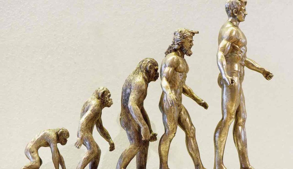 Cannibalismo, le più antiche prove risalgono a circa 18.000 anni fa - Evoluzione umana (PIXABAY FOTO) - www.qrios.it