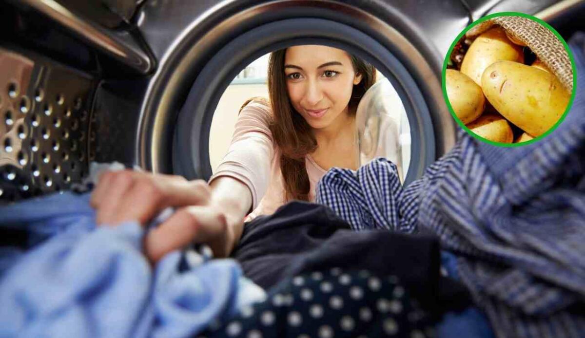 Ecco il segreto per un bucato perfetto - Bucato perfetto, ecco il segreto da applicare (Canva) - FindBest