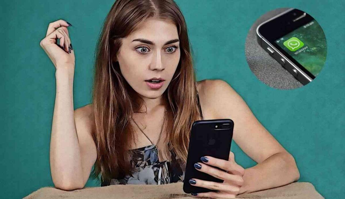 WhatsApp, svuotare il cestino non sarà più un problema: ecco come fare - WhatsApp sorprende (Pixabay foto) - www.notiziesecche.it