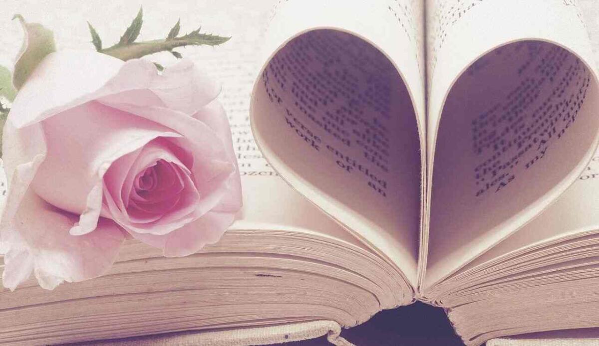 Aforismi San Valentino: ecco i più belli da inviare via messaggio - Frasi di San Valentino (Pixabay Foto) - www.notiziesecche.it