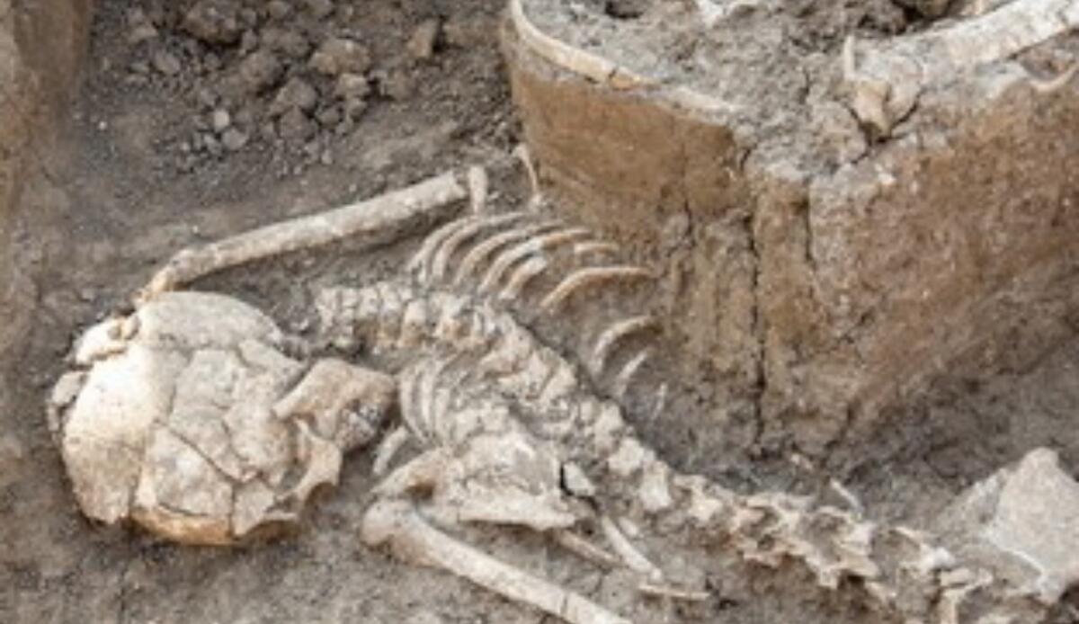 Archeologia, la scoperta è incredibile! È stata scoperta una tomba in Polonia - Polonia, ecco com'è la tomba di un vampiro_2 (Shutterstock Foto) - www.qrios.it